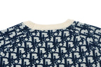 Oblique Jacquard Crew Neck Knit Sweater